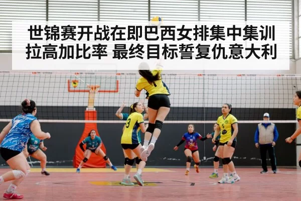 volleyball match